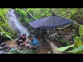 Download Lagu 2 hari Camping di terjang hujan deras semalaman panen ikan di tengah hutan kalimantan