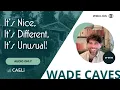 Download Lagu Within Orb 099 | Wade Caves: It’s Nice, It’s Different, It’s Unusual!