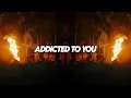 Download Lagu Avicii - Addicted To You (Heliograph Afro House Remix)