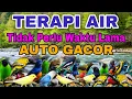Lagu LANGSUNG GACOR TIDAK PERLU TUNGGU WAKTU LAMA, TERAPI AIR UNTUK SEMUA JENIS BURUNG MACET BUNYI 