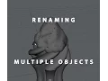 Rename Multiple Objects in Maya 2016