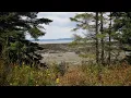 Download Lagu De la forêt au fleuve