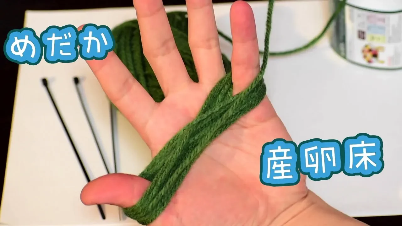 【簡単DIY】身近な材料で作るメダカの産卵床！手作りアイデア集