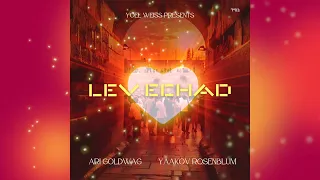 ARI GOLDWAG Lev Echad Feat Yaakov Rosenblum Prod Yoel Weiss ארי גולדוואג לב אחד 