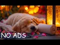 12 Hours of Gentle Music for Dogs Left Alone at Home Calming Sounds for Dogs Peaceful Rest for