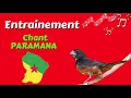 Entrainement chant paramana
