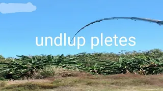 wko undlup pletes