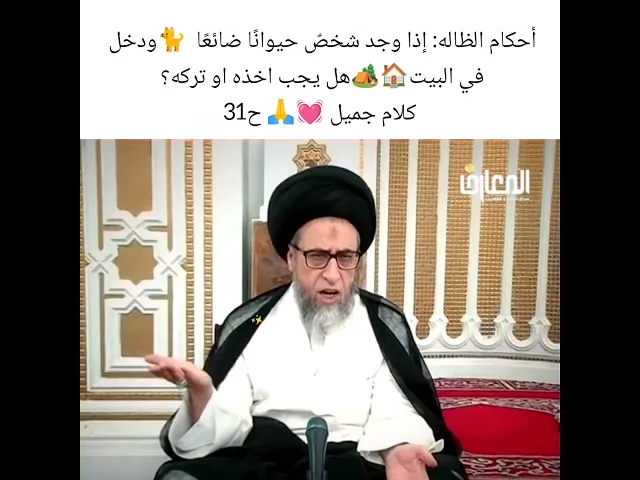 ⁣حكم من وجد قط 🐈ضائع هل يأخذه|  او لا سيد صباح شبر