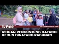 Download Lagu Wisata Kebun Binatang Ragunan Masih jadi Primadona Tempat Liburan Keluarga | AKIS tvOne