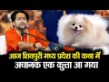 Lagu आज शिवपुरी मध्य प्रदेश की कथा में  अचानक एक कुत्ता आ गया#bageshwardhamsarkar #shivpuri #madyapardesh