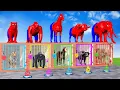Long Slide Game With Cow Elephant Gorilla Hippopotamus Tiger - 3d Animal Game - Funny 3d Animals
