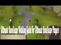 The Ultimate RuneScape Walking Guide Lumbridge to Edgeville