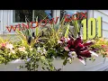 Window box rules to know planting a new one