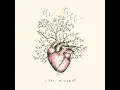 A Mother Never Rests - Lori McKenna