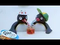 Download Lagu Pingu Loves Food!🐧 | Pingu - Official Channel | Cartoons For Kids