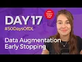 Regularization with Data Augmentation and Early Stopping