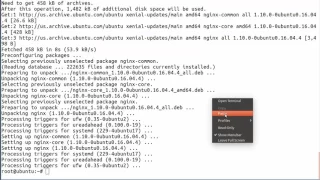 How to install Nginx as a Reverse Proxy for Apache on Ubuntu 16 04 Xenial Xerus
