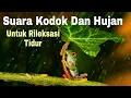 Download Lagu Suara Kodok Dan Hujan Untuk Rileksasi