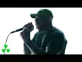 Download Lagu LIGHT THE TORCH - Wilting In The Light (OFFICIAL MUSIC VIDEO)
