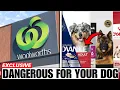 11 Dog Food Brands Australians Should Never Buy And The 4 That Are Worth It