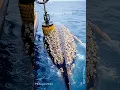 Download Lagu Whale Covered in Barnacles Gets Cleaned with Power Brush  Ocean Rescue in Action #sealife #whale