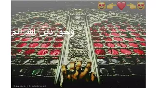 كلبي يدك عله كلبك اقوى لطميه حماسيه 