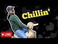 Download Lagu Watching stuff from the week | Chillin'