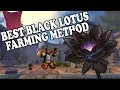 Best Way To Farm Black Lotus - In Diremaul East