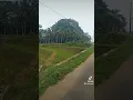Download Lagu ko samoga Cisalak Subang Jawa barat..