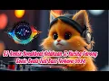 Download Lagu DJ Remix Breakbeat Kelakuan Si Kucing Garong Sonic Beats Full Bass Terbaru 2024