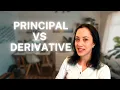 ARE YOU A PRINCIPAL OR DERIVATIVE APPLICANT With Examples
