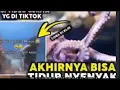 Download Lagu GURITA VIRAL TIKTOK? GURITA MASUK VIRAL DI TIKTOK FULL VIDEO | gurita masuk viral video full