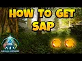 How to Get Sap in ARK Ascended - The Island