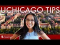 10 UChicago Application Essay Tips Get into UChicago