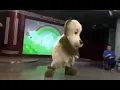 ぐるぐるぐるぐる〜どっか〜ん！（短縮版）