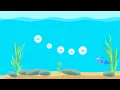 Bubble Sort Visualization Bubble Sort Animation Log2Base2