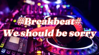 Download DJ WE SHOULD BE SORRY FULL BREAKBEAT MP3