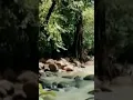 Download Lagu SUNGAI SANCANG GARUT