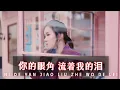 Download Lagu 你的眼角流着我的泪 ni de yan jiao liu zhe wo de lei 黄佳佳 Huang Jia Jia