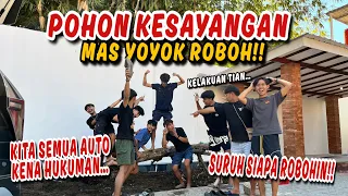 SIAPIN TAMAN BUAT SANGGAR BARU !! Sampai Mas Yoyok Marah Gara Gara Pohonya Roboh