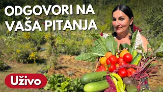 ŠTA SEJATI I SADITI KRAJEM LETA | Odgovori na pitanja (Konsultacije #015)