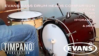 Download ULTIMATE Evans Bass Drum Heads Comparison - Timpano Percussion MP3