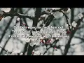 Roy Woods – Bad Bad Lyrics