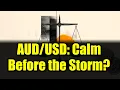 Holds Steady Trade Balance Surplus USD Outlook