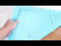 We Tried The XXL Pee Pad For Our Dogs