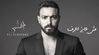 علي الحسيني سابيه هناك Ali Elhoseny Saybo Henak 