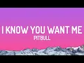 Download Lagu Pitbull - I Know You Want Me (Calle Ocho)
