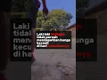 Download Lagu story whatsapp laki laki bajingan