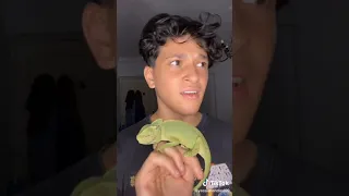 عارف مين تخن جميع نجوم التيك توك 