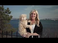 This Is Maine - Episode 3